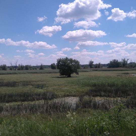 Baranya