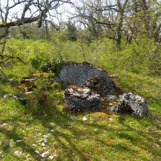 Dolmen de Cayssac 1
