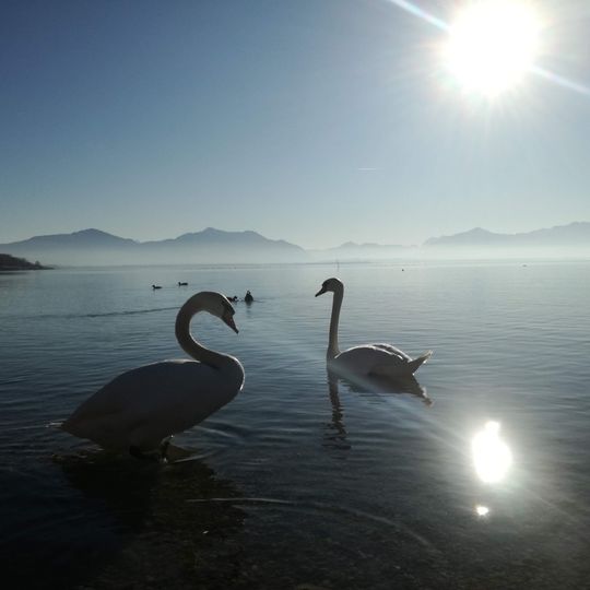 Chiemsee