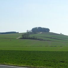 Alter Rodenberg/Altebusch