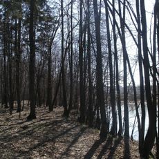 Аннинский лесопарк