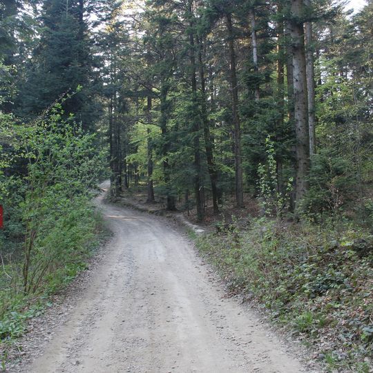 Nature Reserve Liwocz