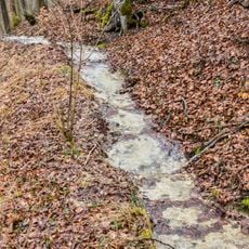 Steinerne Rinne von Buckmühle