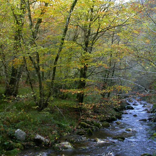 Natural Park of Fuentes del Narcea, Degaña e Ibias