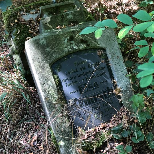 Alter Friedhof Bleesern