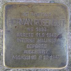 Herman Rosenblit