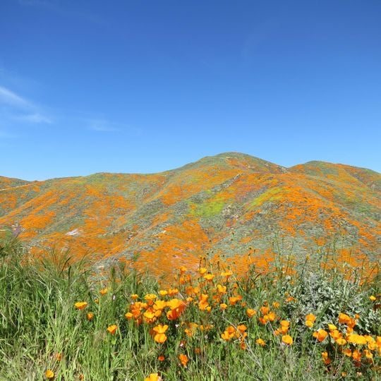 Walker Canyon