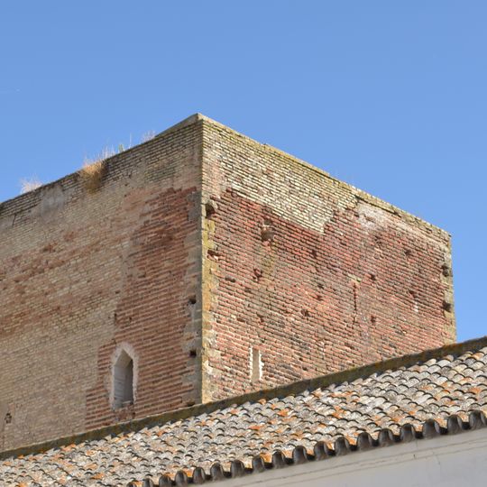 Torre Mocha de Loreto