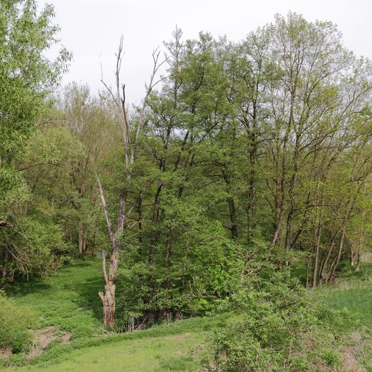 Altarm der Tauber Lachen