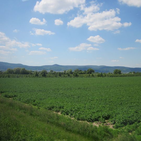 Mußbach an der Weinstraße