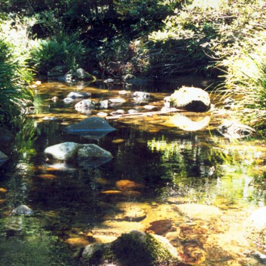 Washpool National Park