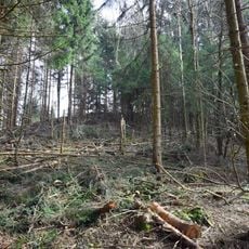 Furtbüel, bronze age and Hallstatt period hilltop settlement