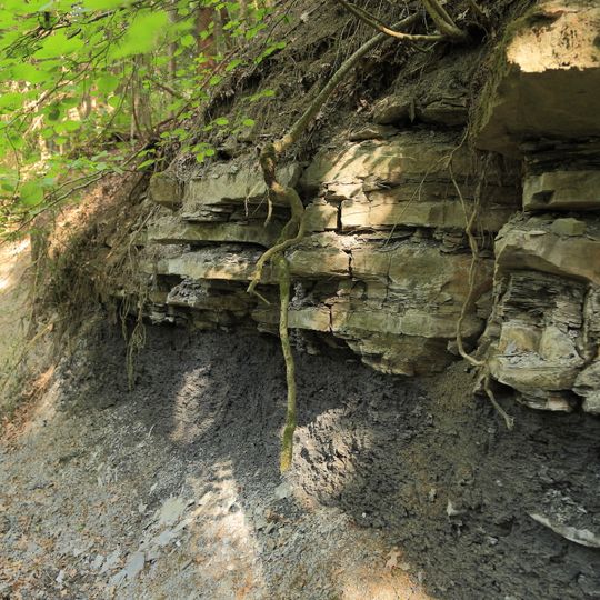Lias-Aufschluss im Teufelsgraben S von Oedhof