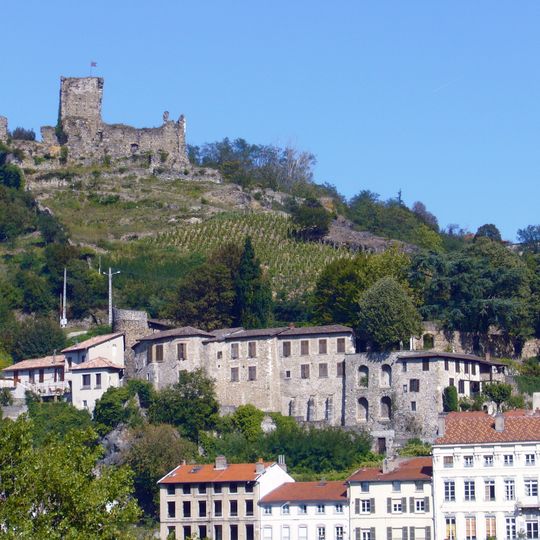 Château de Vienne