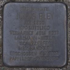 Julius Bley