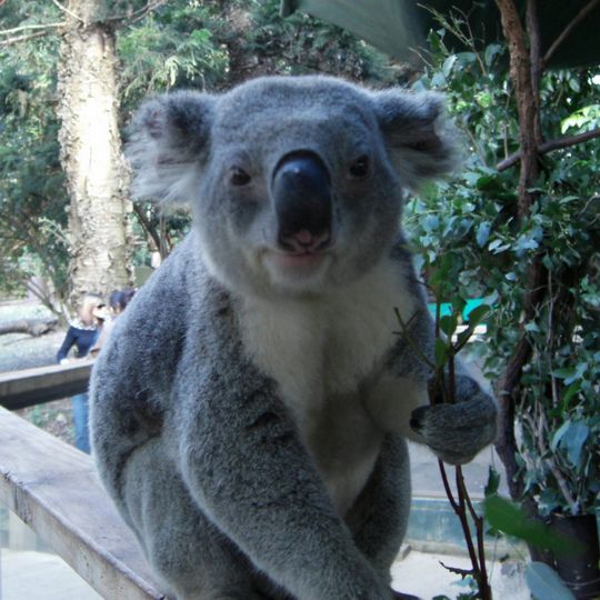 Dunggir National Park