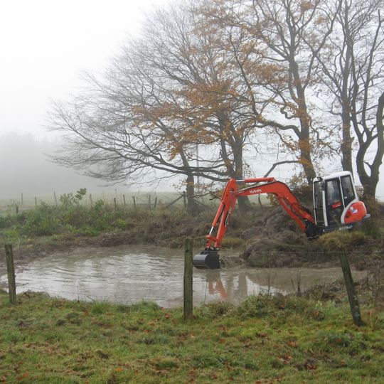 Kleingewässer östlich Saal