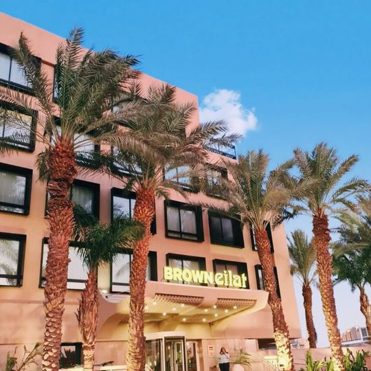 Brown Eilat