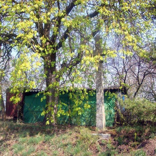 Kříž severozápadně od Branic