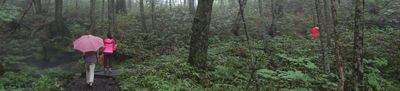 Panoramic View 1