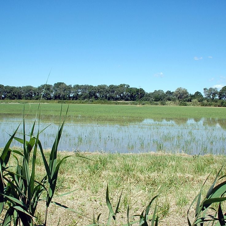 Camargue Regional Natural Park