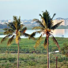Bellandur Lake