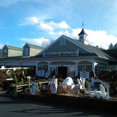 Delicious Orchards