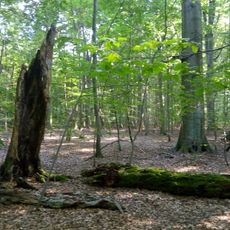 Nature reserve Bukowiec