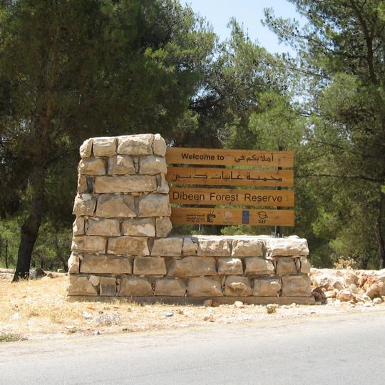 Rezerwat przyrody Dibbin