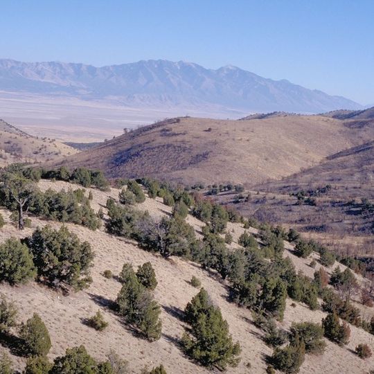 Cedar Mountain Wilderness