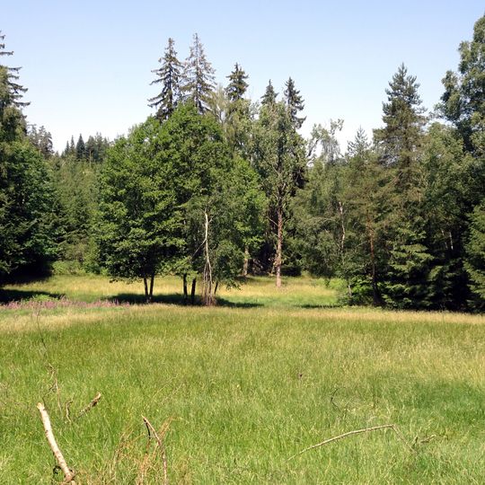 Schmerbachtal von Fürth und Hammelbach