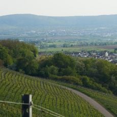 Südwestabhang des Korber Kopfs