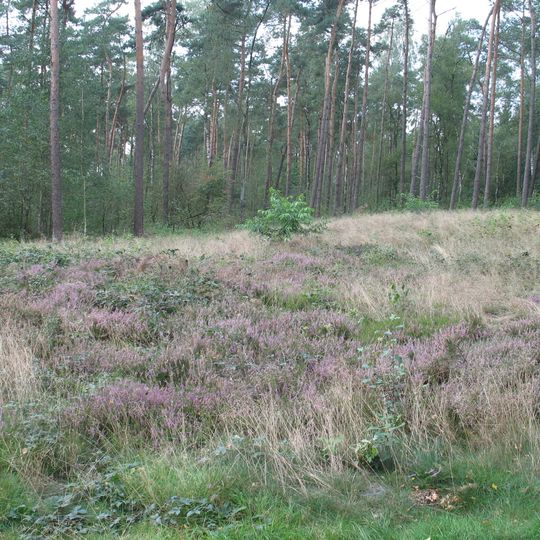 Grafheuvel 45412, Bennekom