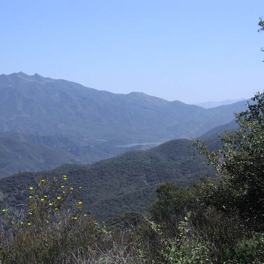 Forêt nationale de Los Padres