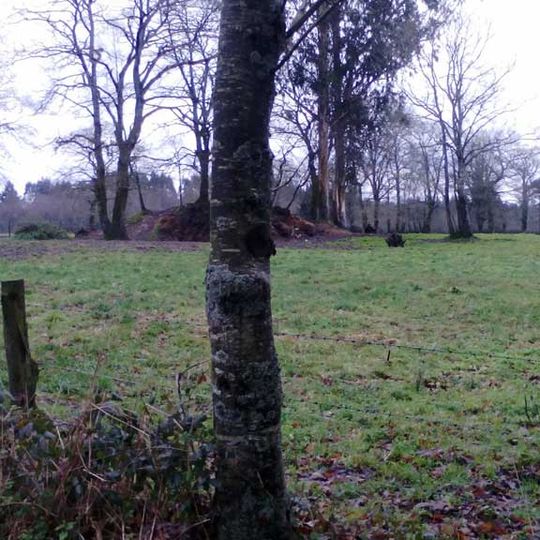 Castro de Pereirales