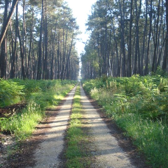 Parc naturel régional des Landes de Gascogne