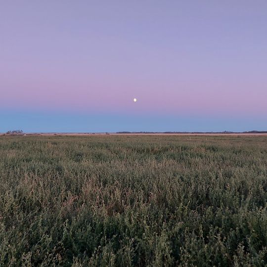 Moose Mountain No. 63