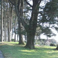 Holly Park