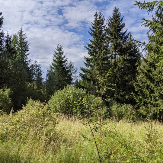 Hornovltavické pastviny