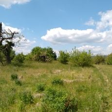 Ingelheimer Dünen und Sande