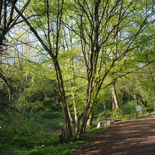 Mühlbachtal von Bergen-Enkheim