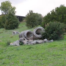 Parco paleobotanico di Carrucana