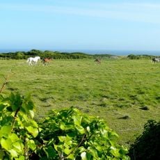 Portland open fields