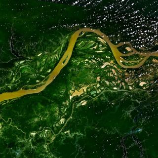 Complexo de Conservação da Amazônia Central