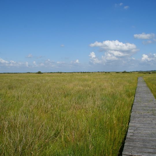 Wildes Moor bei Schwabstedt