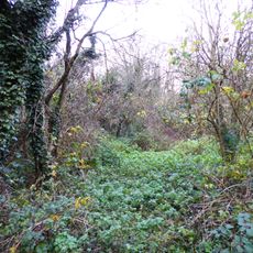 The Orchards Nature Reserve