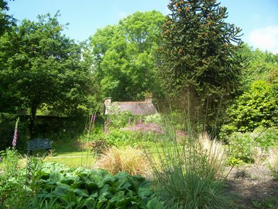 Immagine alternativa