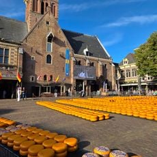 Cheese Market