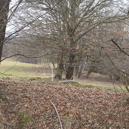 Kříž u cesty na Pašinovice