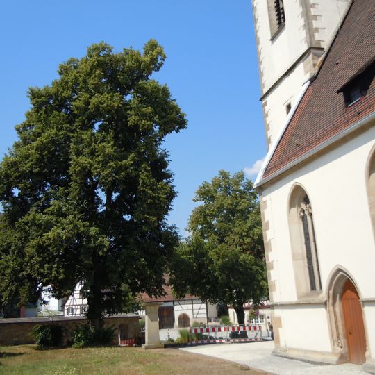 Linde bei der Ev. Kirche